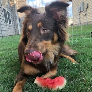 Meet your Posher, Ashlynn